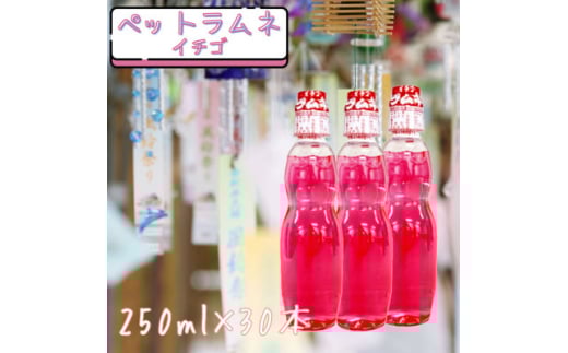 ペットラムネ イチゴ(250ml×30本)【1598130】宮城県15000お茶・飲料水・ミネラルウォーター