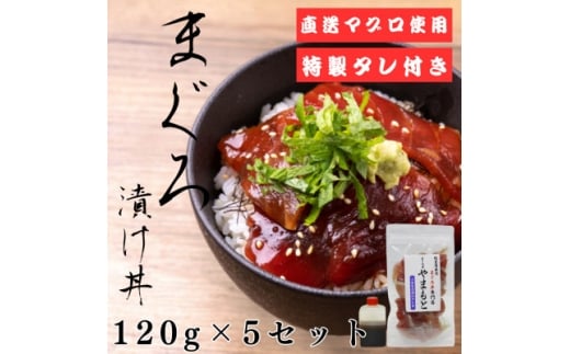 <直送マグロ使用>まぐろパック 特製漬けタレ付き 120g×5パック【1609733】宮城県15000魚介・海産物鮮魚