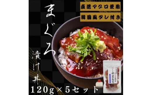 }Ogp܂pbN@؍^t@120g×5pbNy1609735z{錧15000ECYN