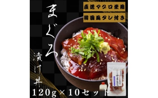 <直送マグロ使用>まぐろパック 特製韓国風タレ付き 120g×10パック【1609736】宮城県30000魚介・海産物鮮魚