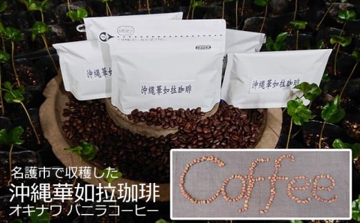 【100%名護市産】コーヒー(粉)100g×2袋沖縄県名護市15000お茶・飲料コーヒー・紅茶