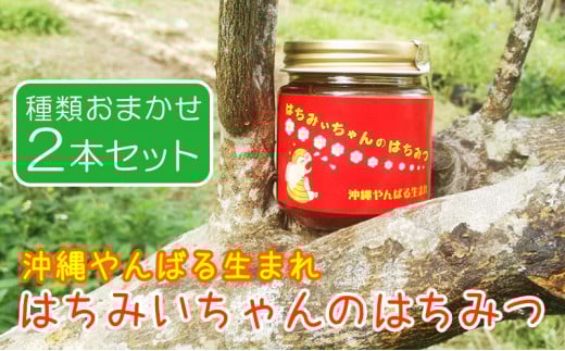 はちみいちゃんのはちみつ【2本セット】蜜蜂ファーム・ときわ沖縄県名護市15000鍋セット・総菜・加工食品ジャム・はちみつ