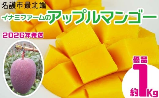 【2026年発送】名護市最北端イナミファームの 優品 アップルマンゴー 約1kg フルーツ 果物 期間限定 数量限定 マンゴー 南国 プレゼント お土産 おみやげ ギフト くだもの 沖縄 おきなわ
