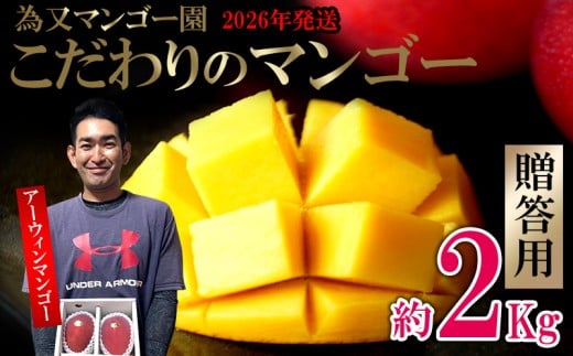 【2026年発送】為又マンゴー園 贈答用 こだわりのマンゴー 約2kg フルーツ 果物 期間限定 数量限定 マンゴー 南国 プレゼント お土産 おみやげ ギフト くだもの 沖縄 おきなわ 青果 デザ