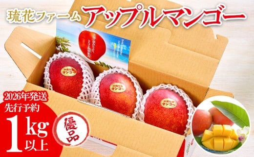 【2026年発送先行予約】アップルマンゴー優品1kg以上 沖縄 おきなわ まんごー 優品 家庭用 先行予約 ふるさと納税  甘味 糖度 おいしい お土産 アーウィン 果物 くだもの 果実 1キロ 箱入り 食