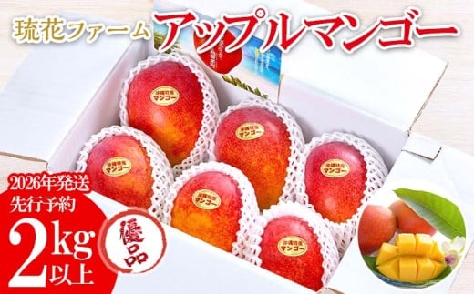 【2026年発送先行予約】アップルマンゴー優品2kg以上 沖縄 おきなわ まんごー 優品 家庭用 先行予約 ふるさと納税  甘味 糖度 おいしい お土産 アーウィン 果物 くだもの 果実 2キロ 箱入り 食