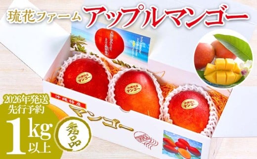 【2026年発送先行予約】アップルマンゴー秀品1kg以上 沖縄 おきなわ まんごー 秀品 贈答用 先行予約 ふるさと納税  甘味 糖度 おいしい お土産 アーウィン 果物 くだもの 果実 1キロ 箱入り 食
