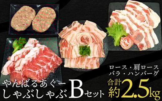 やんばるあぐーしゃぶしゃぶ(ロース&肩ロース&バラ&ハンバーグ)Bセット ブランド豚 銘柄豚 やんばる あぐー豚 お取り寄せ 家庭料理 野菜炒め 豚しゃぶ しゃぶしゃぶ 特産品 人気 グ