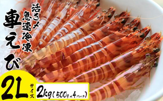 Y}ⓀԂсy2LTCYz@2kgi500g×4pbNj Gr  CV hg   H Hו CY CY   ܂  ܂ bk  Ⓚꌧs57000