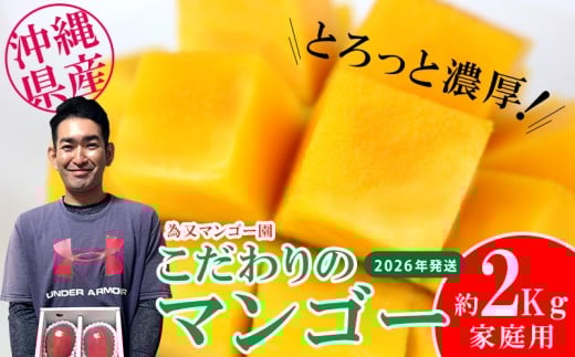 【2026年発送】為又マンゴー園 家庭用 こだわりのマンゴー 約2kg フルーツ 果物 期間限定 数量限定 マンゴー 南国 プレゼント お土産 おみやげ ギフト くだもの 沖縄 おきなわ 青果 デザ