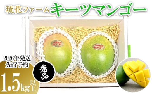 【2026年発送先行予約】キーツマンゴー秀品1.5kg以上 沖縄 おきなわ まんごー 秀品 贈答用 先行予約 ふるさと納税  甘味 糖度 おいしい お土産 キーツ 果物 くだもの 果実 1.5キロ 箱入り 食べ