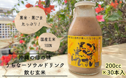 沖縄生まれの玄米ドリンク 黒ごめ黒ごまげんまい沖縄県名護市30000鍋セット・総菜・加工食品その他 鍋セット・総菜・加工食品