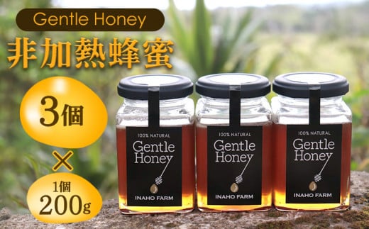 沖縄のやんばるで採れた非加熱はちみつ600g【Gentle Honey】 (200g×3個) 名護 なご 沖縄 おきなわ ハチミツ 県産 国産 自然 こだわり あまい 手作り 加工品 おいしい 美味しい はちみつ やんばる