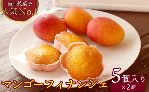 マンゴーフィナンシェ10個(5個入り×2箱) 完熟 マンゴー フィナンシェ 焼菓子 おかし 人気 菓子 花型 可愛い ごま油 美味しい ヘルシー スイーツ 贈り物 ギフト ケーキ屋 専門店 お土産 お