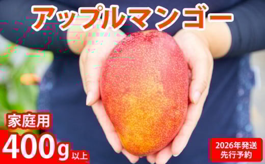 【2026年発送先行予約】アップルマンゴー優品400g以上 沖縄 おきなわ まんごー 自分用 名護市 先行予約 ふるさと納税  甘味 糖度 おいしい お土産 アーウィン 果物 くだもの 果実 400グラム ス
