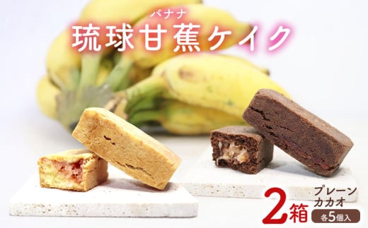 琉球甘蕉ケイク2箱(プレーン・カカオ)各5個入 沖縄 おきなわ おかし お菓子 バナナ アップルバナナ ばなな 伝統 特産品 ふるさと納税  名護市 なご スイーツ お土産 お取り寄せ 人気 カカ