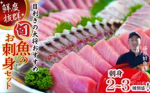 旬な海の幸をお届け!大将のおまかせ刺身2〜3種類盛! Efs-01 刺し身 海鮮 鮮魚 海鮮丼 魚 刺身セット お魚 さしみ 魚介類 刺身盛り合わせ 冷蔵 2人前 カツオ 鰹 鰹のたたき マグロ ブリ カン