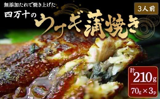 四万十のうなぎ蒲焼 3人前   冷凍 特大 たれ付き 蒲焼 白焼 国産 鰻 ウナギ うなぎ 蒲焼き 肉厚 土用の丑の日 本格うなぎ 山椒付き おすすめ 四万十鰻/Ess-A07高知県四万十町17000魚介・海産物