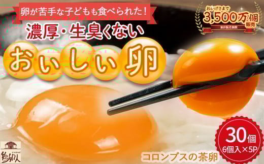 卵が苦手な子どもも食べられた!生臭くないおいしい卵 6個入×5P Gbn-A03 たまご 玉子 鶏卵 生卵 生たまご高知県四万十町6000卵・乳製品卵(鶏、烏骨鶏等)