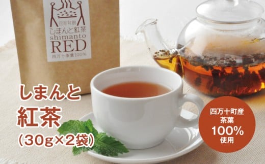 しまんと紅茶 Qdr-A63 /和紅茶 四万十 高知 広井茶生産組合 ホットティー アイスティー ミルクティー高知県四万十町6000お茶・飲料コーヒー・紅茶