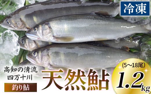 四万十川上流の天然鮎 釣り鮎【冷凍5〜18尾】1.2kg 【着日指定不可】Esj-42k あゆ アユ 魚 魚介 川魚 塩焼き 天然 個包装 小分け高知県四万十町40000魚介・海産物鮮魚