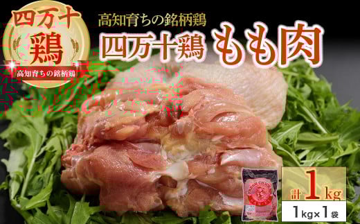 m炿̖{ l\{  1kg@Adf-B29 Y Y{   { Ƃɂ  { { Ⓚ gml\7000{