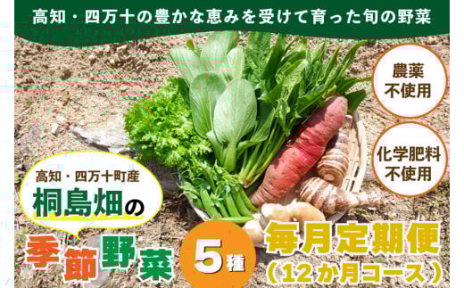 【栽培期間中、農薬・化学肥料不使用】桐島畑の季節野菜詰め合わせ(5種類)(定期便12か月コース) Rfkh-A02 / やさい 国産野菜 四万十 高知 季節 フレッシュ 旬 無農薬 有機農業 野菜セット 新