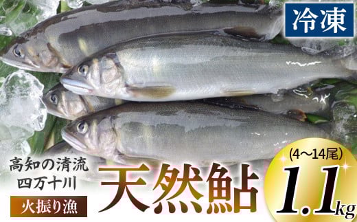 四万十川上流の天然鮎 冷凍 火振り漁鮎(4〜14尾)【着日指定不可】Esj-12k あゆ アユ 魚 魚介 川魚 塩焼き 冷凍高知県四万十町30000魚介・海産物鮮魚