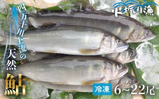 四万十川上流の天然鮎 冷凍 火振り漁鮎 2kg(6〜22尾)【着日指定不可】Esj-14k あゆ アユ 魚 魚介 川魚 塩焼き 冷凍 個包装 小分け たっぷり高知県四万十町50000魚介・海産物鮮魚