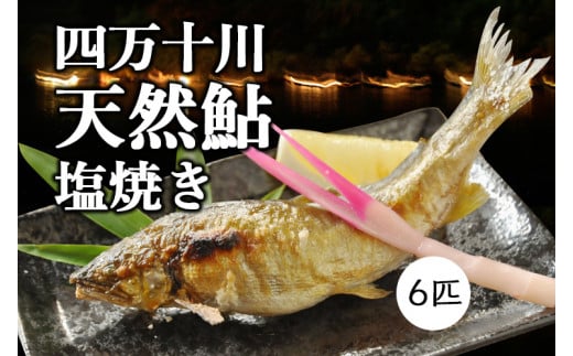 職人が丁寧に炭火焼!四万十川の「天然鮎の塩焼き」6匹 Qdr-152/天日塩 アユ あゆ 冷凍 しまんと 高知 火振り漁 ギフト 贈り物 プレゼント お取り寄せ レンチン レンジでチン高知県四万十