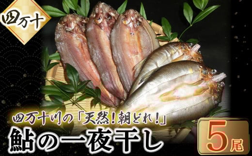 頭からガブッと!四万十川の天然小鮎 一夜干し(5枚セット) Esg-25 あゆ アユ 鮎 魚 魚介 川魚 塩焼き 干物 ひもの 海鮮高知県四万十町12000魚介・海産物鮮魚