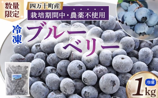 【数量限定/2025年産】栽培期間中 農薬不使用 冷凍 ブルーベリー (1kg)Qdr-91 ブルーベリー ジャム ヨーグルト スムージー パイ スイーツ 朝食 贈り物 お取り寄せ ギフト 果物 無農薬高知県