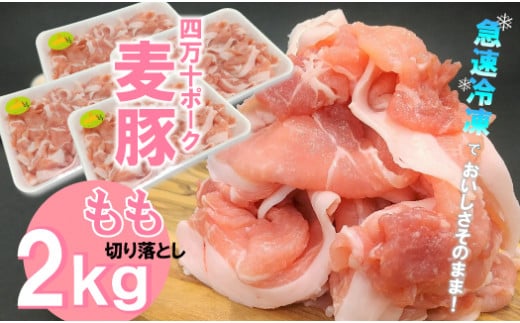 平野協同畜産の「麦豚」 豚もも切り落とし 2kg(500g×4パック)四万十ポーク Ahc-07 国産 ぶた肉 豚肉 肉 お肉 もも 国産豚肉 国産ぶた肉 冷凍  小分け高知県四万十町10000肉豚肉