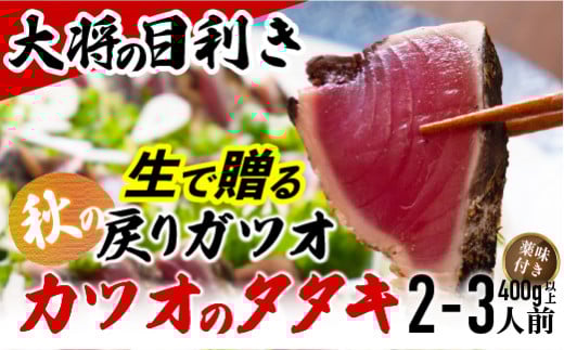 【生の鮮度】戻りガツオのタタキ2-3人前(薬味付き)【冷蔵】 Efs-07 鰹 高知 海産 冷蔵 ご贈答 ご家庭に ギフト 薬味(ニンニク、ネギ、大葉、生姜)特製のたたきのタレ かつおのたたき