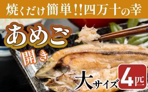 ĂȒPIŎl\炿̂߂̊J@TCYSC Eay-03@܂ o[xL[ BBQ AEghA AS ܂   싛 Ă ߂ ܂ J ml\1