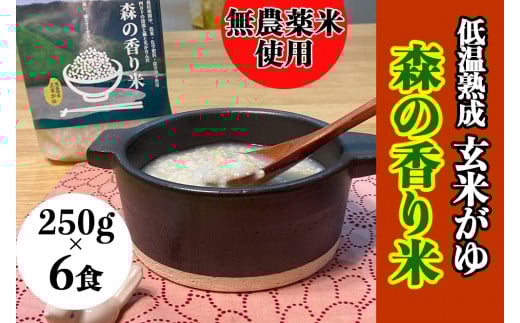 【無農薬/香り米使用】低温熟成 玄米がゆ「森の香り米」) 250g×6食 Bnm-18 /四万十 しまんと お米 おかゆタイプ パックご飯 無添加 湯煎 レンチン そのまま食べられる災害時の非常食高知