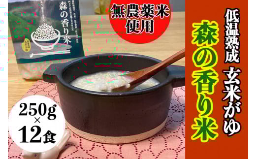 y_^Ďgpzቷn ĂuX̍āv) 250g×12H@Bnm-19@^l\ ܂  ^Cv pbN Y  ` ̂܂ܐHׂЊQ̔H