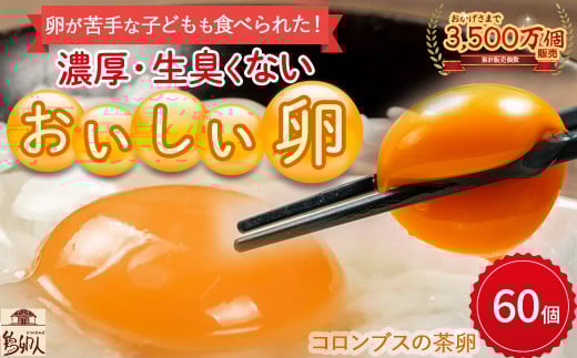 卵が苦手な子どもも食べられた!生臭くないおいしい卵 (10個入×6P) Gbn-59  たまご 卵 玉子 鶏卵 生卵 生たまご高知県四万十町12000卵・乳製品卵(鶏、烏骨鶏等)