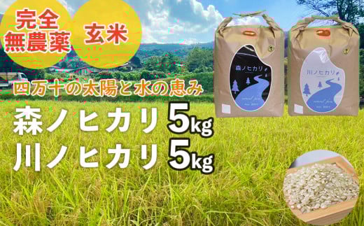 【2025年産米】完全無農薬の玄米『森ノヒカリ(5kg)』『川ノヒカリ(5kg)』セット Bnm-A22 /お米 朝日 米 数量限定 四万十 高知 チェーン除草 贈り物 ギフト プレゼント お取り寄せ お歳暮 お中