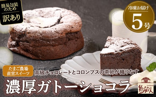 【訳アリ】たまご農場直営スイーツ!ガトーショコラ5号 ホール/Gbn-54 ガトーショコラ チョコレート チョコ 洋菓子 お菓子 高知スイーツ 高知デザート高知県四万十町10000菓子・スイーツケ