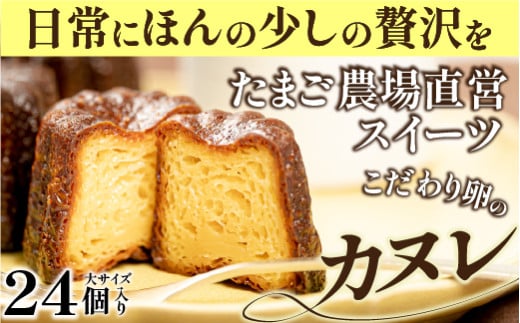 ܂_꒼cXC[c!藑̐H׉Q!傫ȃJk24 Gbn-56 ʂ Ăَq XC[c lC oj fU[g   Jk َq mَq v[g v`Mtg