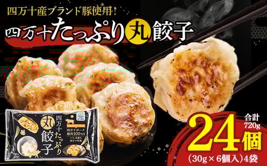 四万十産ブランド豚使用!四万十たっぷり丸餃子 4袋(30g×6個入)合計720g /Qak-43 餃子 丸餃子 冷凍餃子 生餃子 冷凍生餃子 国産餃子 ブランド豚高知県四万十町7000鍋セット・総菜・加工食品