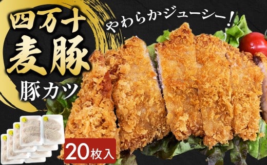 四万十麦豚 豚カツ (約100g×20枚)平野協同畜産 豚肉 麦豚 四万十麦豚 ブランド豚 トンカツ 豚カツ 冷凍カツ 豚ロース 背ロース Ahc-20高知県四万十町20000肉豚肉