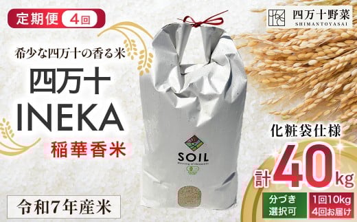 【新米予約】【有機玄米】希少な四万十の香る米 定期便4回(4か月) 10kg袋  四万十INEKA(稲華香米)化粧袋仕様 /Fsg-03 小分け 便利 ブランド米 お米 米 香米 香る米 玄米 令和7年度産米 高知