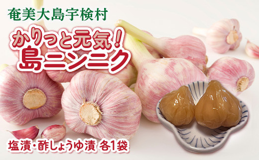 かりっと元気!島ニンニク 塩漬・酢しょうゆ漬 (各1袋) にんにく おつまみ 世界遺産登録記念 奄美大島 宇検村 鹿児島鹿児島県宇検村4000鍋セット・総菜・加工食品漬物・梅干・キムチ