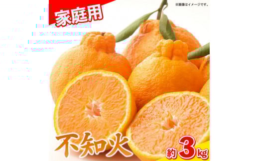 【 先行予約 】 しらぬい 不知火 3kg 家庭用 9〜10個入り みかん 柑橘 サイズ不揃い 果物 フルーツ 柑橘 徳島県 阿波市 宮田農園徳島県阿波市12000果物・フルーツみかん・柑橘類