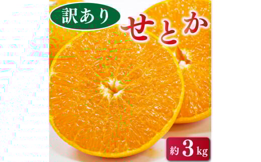 s\ 󂠂 Ƃ 3kg ݂  ʕ t[c k IW [[ W[X ACX P[L fU[g XC[c W x Â s KiO r^~ e N   gs