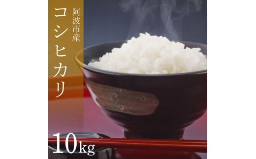 コシヒカリ 10kg 令和7年産 米 こめ ご飯 ごはん おにぎり 白米 精米 新米 卵かけご飯 食品 備蓄 備蓄米 保存 防災 ギフト 贈答 プレゼント お取り寄せ グルメ  徳島県 阿波市 栗栖農園徳島県阿