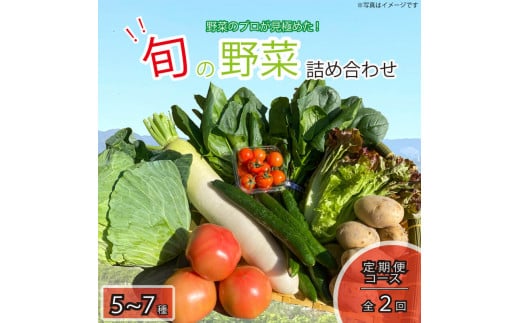 定期便 年2回 新鮮 旬の野菜セット 5〜7品目 詰合せ セット 旬 新鮮 季節の野菜 野菜 やさい なすび ブロッコリー キャベツ 白菜 レタス サニーレタス ほうれん草 きゅうり ピーマン とうもろ