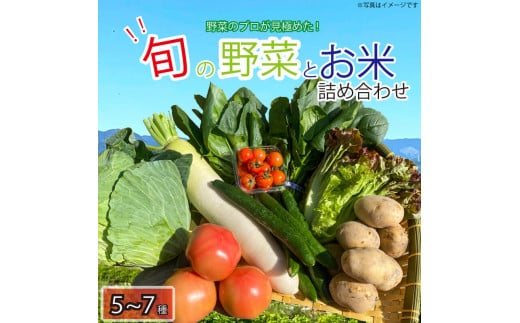 野菜 5〜7品目 米 5kg 詰め合わせ セット 旬 新鮮 季節の野菜 なすび ブロッコリー キャベツ 白菜 レタス サニーレタス ほうれん草 きゅうり ピーマン とうもろこし トマト ミニトマト 大根 絹